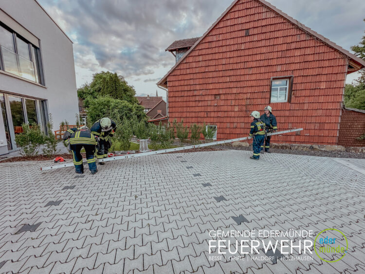 Leitern, Knoten & Stiche im Ortsteil Grifte