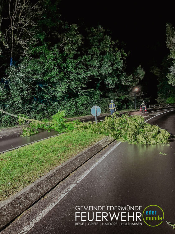 Baum auf der Straße