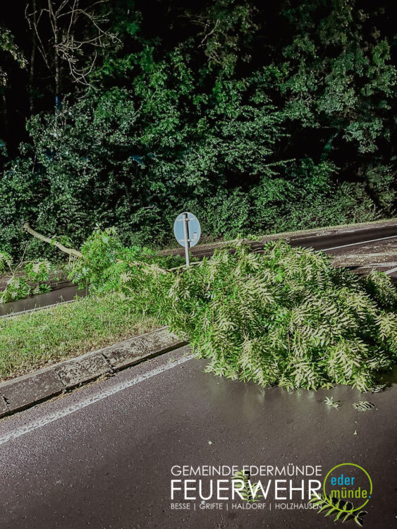 Baum auf der Straße