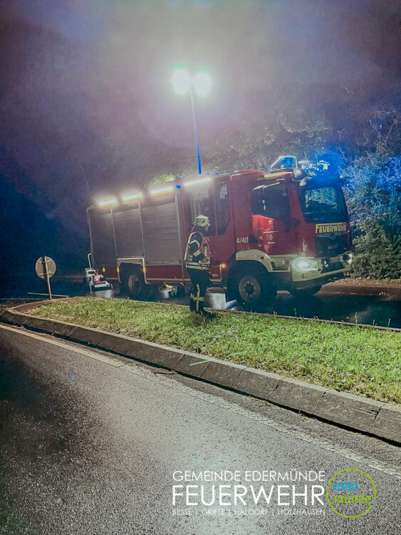 Baum auf der Straße
