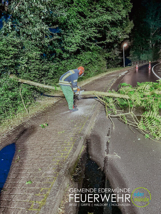 Baum auf der Straße