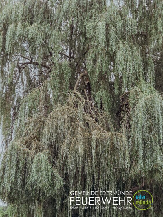 Einsatz in Holzhausen